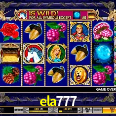 APP oficial da ela777 para mobile